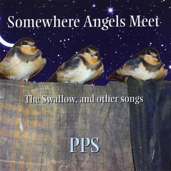 Cover for P P S · Somewhere Angels Meet (CD) (2014)