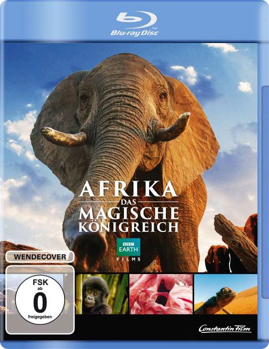 Cover for Keine Informationen · Afrika-das Magische Königreich (Blu-ray) (2015)