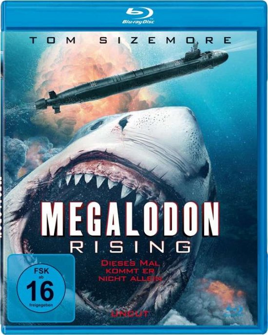 Cover for Sizemore,tom / Eddins,wynter / Lee,lisa · Megalodon Rising-dieses Mal Kommt er Nicht Allei (Blu-ray) (2021)