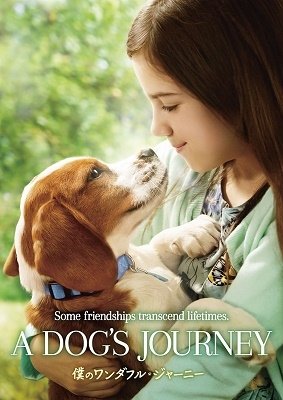 Cover for Dennis Quaid · A Dog's Journey (DVD) [Japan Import edition] (2020)