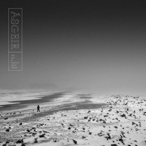 Asgeir · Sky Is Painted Gray Today (12") (2022)