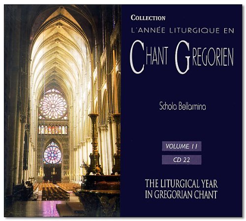 Cover for Gregorian Chant · Liturgical Year In Gregorien Chant (CD) (2010)