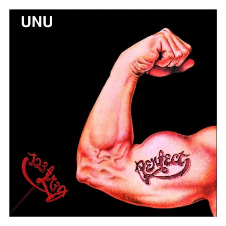 Unu - Perfect - Music -  - 5906409102480 - 