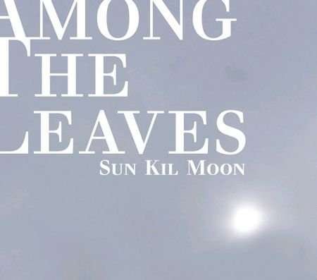 Among the Leaves - Sun Kil Moon - Musik -  - 8809267370480 - 21. august 2012