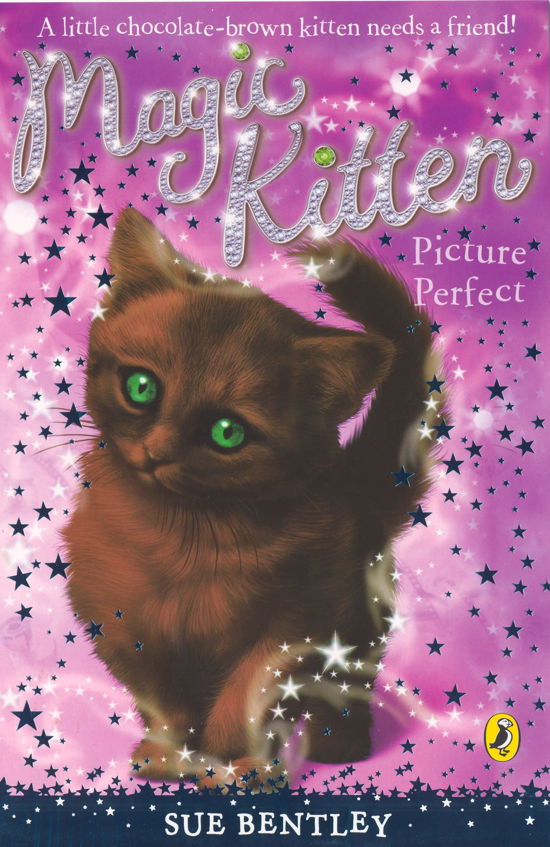 Magic Kitten: Picture Perfect - Magic Kitten - Sue Bentley - Books - Penguin Random House Children's UK - 9780141323480 - January 31, 2008