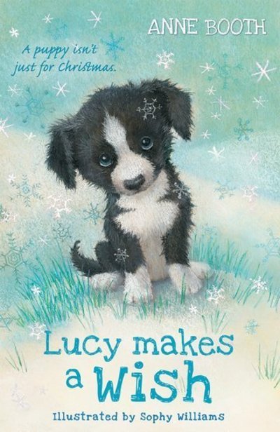 Cover for Anne Booth · Lucy Makes a Wish (Paperback Bog) (2019)
