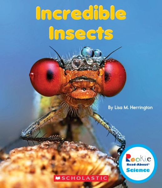 Cover for Lisa M. Herrington · Incredible Insects (Rookie Read-About Science: Strange Animals) (Paperback Book) (2016)