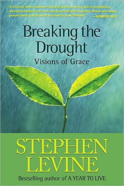 Cover for Stephen Levine · Breaking the Drought: Visions of Grace (Paperback Book) (2007)