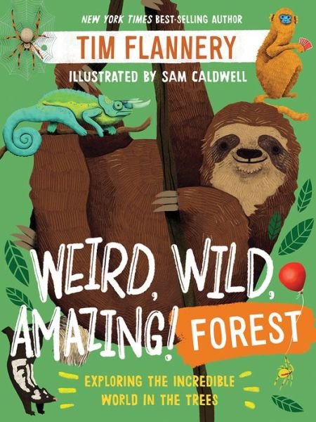 Cover for Tim Flannery · Weird, Wild, Amazing! Forest - Exploring the Incredible World in the Trees (Taschenbuch) (2021)
