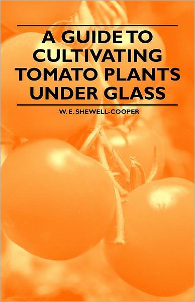 Cover for W E Shewell-cooper · A Guide to Cultivating Tomato Plants Under Glass (Taschenbuch) (2011)