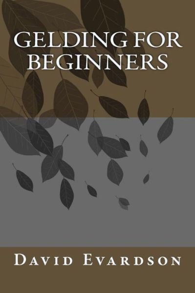 Cover for David Evardson · Gelding for Beginners (Pocketbok) (2015)