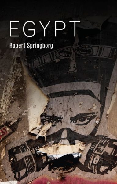 Cover for Robert Springborg · Egypt - Hot Spots in Global Politics (Hardcover bog) (2017)