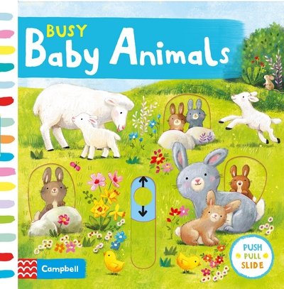 Cover for Ag Jatkowska · Busy Baby Animals - Campbell Busy Books (Board book) (2018)