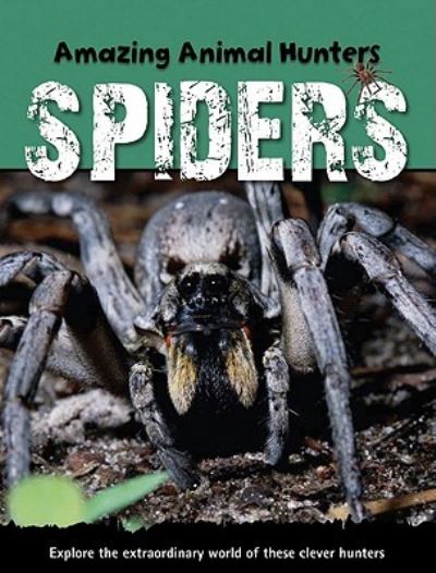 Cover for Sally Morgan · Spiders (Hardcover Book) (2010)