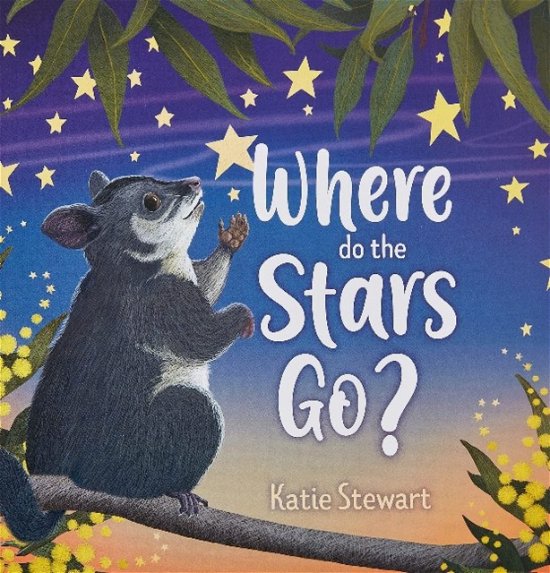 Cover for Katie Stewart · Where do the stars go? (Hardcover Book) (2021)
