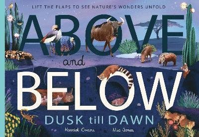 Cover for Harriet Evans · Above and Below: Dusk till Dawn: Lift the flaps to see nature's wonders unfold (Paperback Book) (2024)