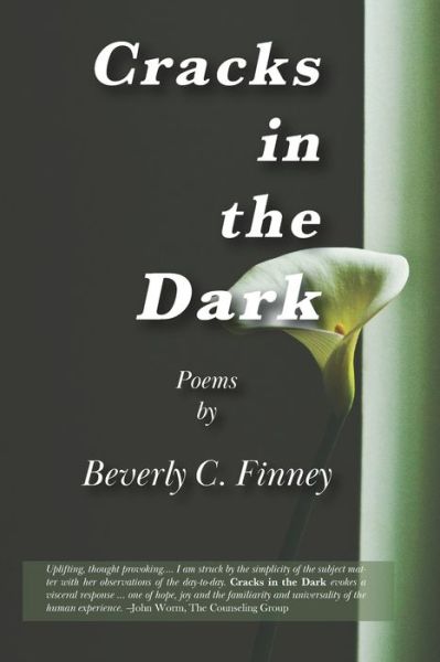 Cover for Beverly C. Finney · Cracks in the Dark (Book) (2022)