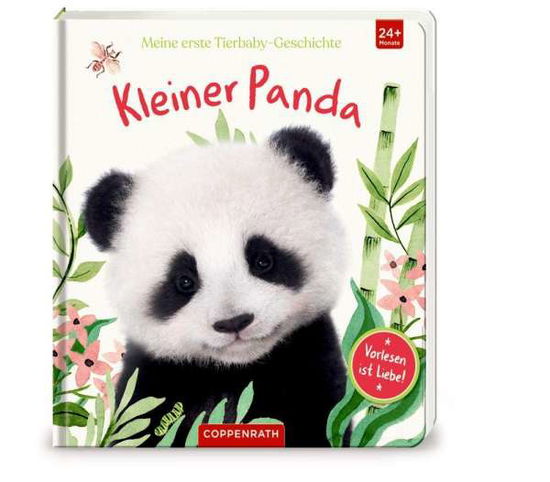 Cover for Amanda Wood · Meine erste Tierbaby-Geschichte: Kleiner Panda (Board book) (2021)