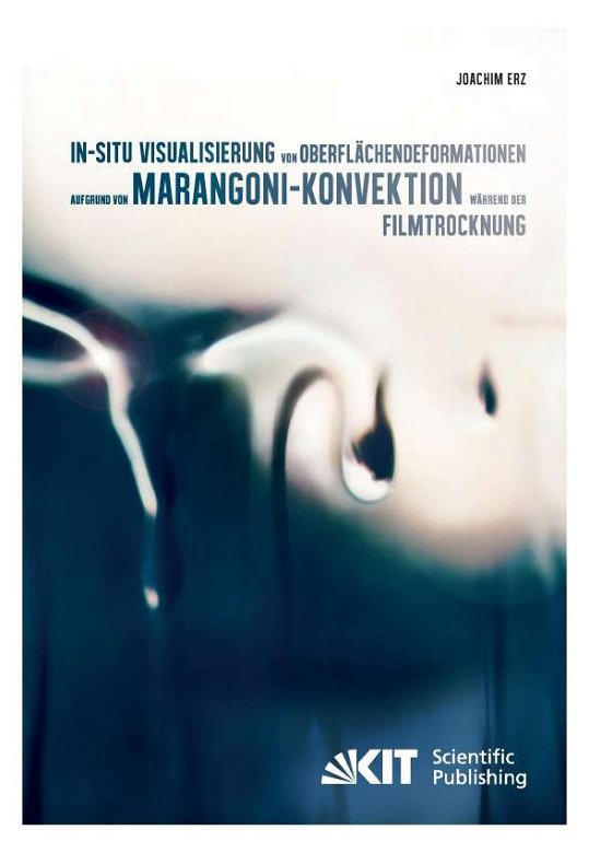 Cover for Erz · In-situ Visualisierung von Oberfläc (Bok) (2014)