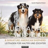 Cover for Kerstin Fingerhut-Pluskat · Australian Shepherd &amp; Miniature American Shepherd (Bok) (2024)