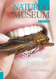 Cover for Joachim Offenberg · Natur og Musem - Spiselige Insekter (Bog) (2016)