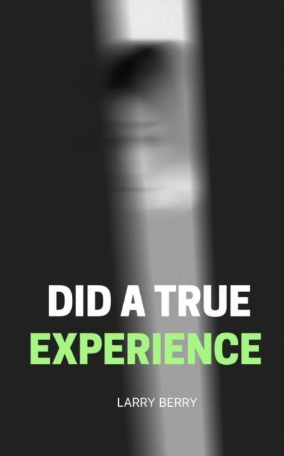 Cover for Larry Berry · DID a True Experience (Paperback Book) (2023)