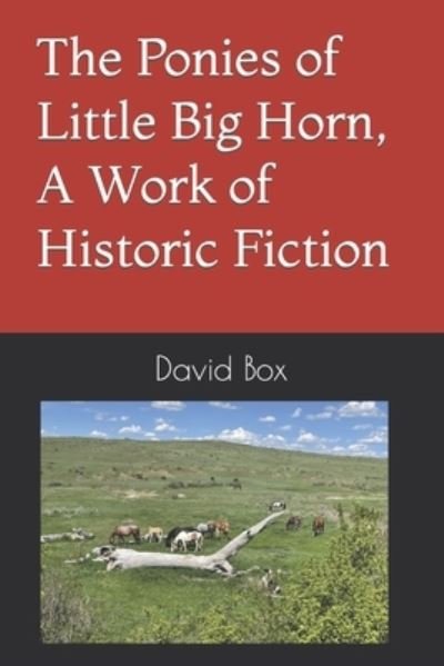 Cover for David Box · The Ponies of Little Big Horn, A Work of Historic Fiction (Taschenbuch) (2021)