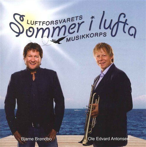 Sommer I Lufta - Amdahl / Angelsen - Musiikki - Mudi - 0822359020481 - keskiviikko 11. kesäkuuta 2008