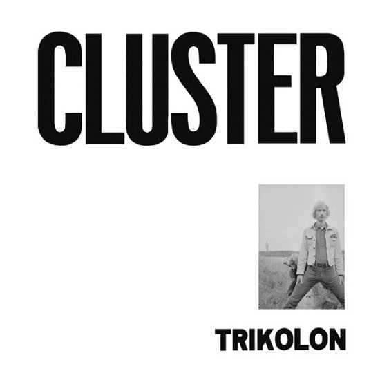 Cover for Trikolon · Cluster (LP) (2023)