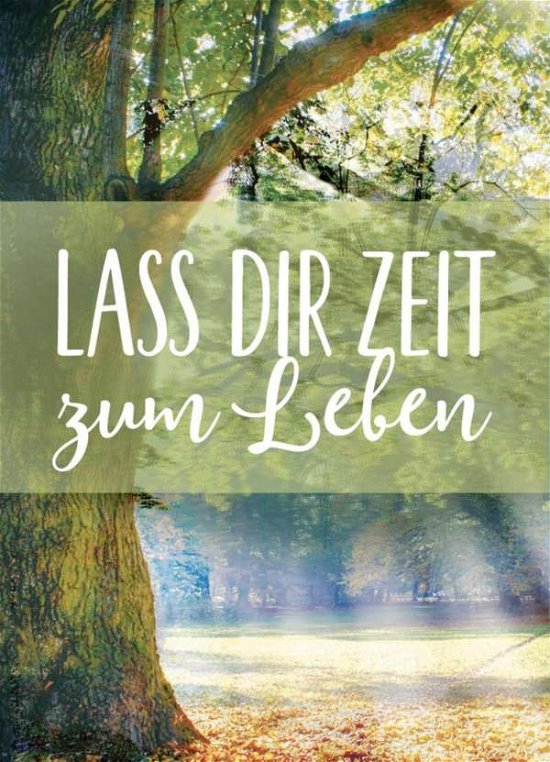 Cover for Magnet · Lass dir Zeit zum Leb.525/50648 (Bog)