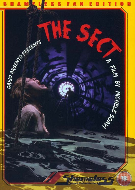 Cover for The Sect (DVD) (2016)