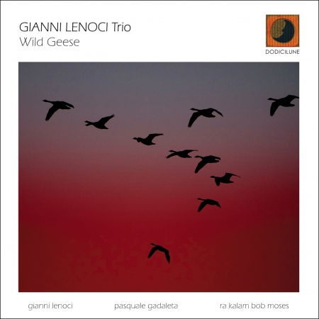 Cover for Lenoci, Gianni &amp; Kalam Bob Moses · Wild Geese (CD) (2020)