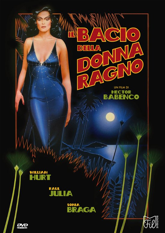 Cover for Sonia Bragawilliam Hurtraul Juliajohn Neschling · Film Boutique Il Bacio Della Donna Ragno 2 Dvd (DVD) (2023)