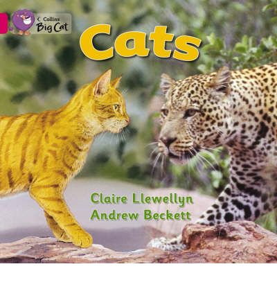 Cats: Band 01b/Pink B - Collins Big Cat - Claire Llewellyn - Books - HarperCollins Publishers - 9780007185481 - January 5, 2005