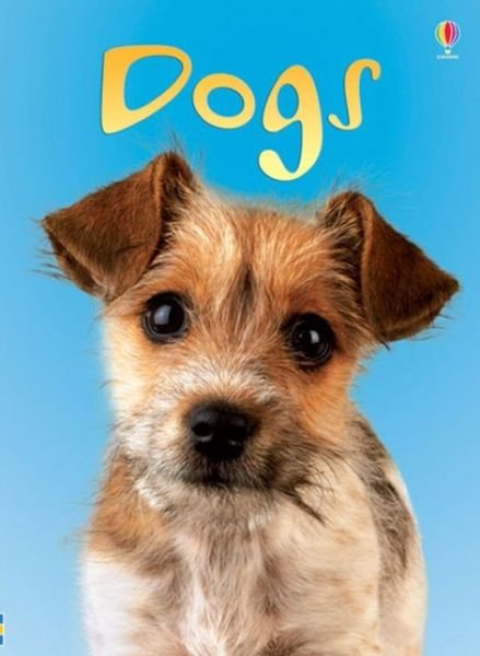 Dogs - Beginners - Emma Helbrough - Livros - Usborne Publishing Ltd - 9780746080481 - 30 de março de 2007