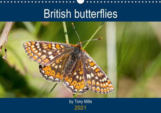 British Butterflies by Tony Mills - Mills - Books -  - 9781325581481 - 