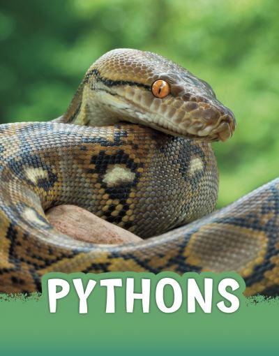 Cover for Martha E. H. Rustad · Pythons - Animals (Hardcover Book) (2021)