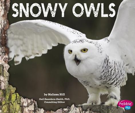 Cover for Melissa Hill · Snowy Owls (Hardcover Book) (2015)