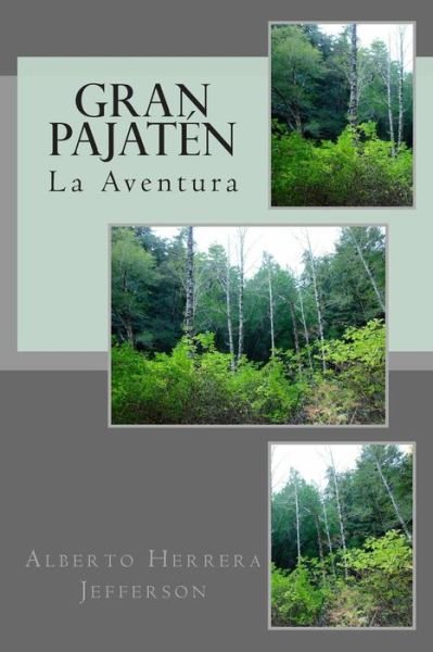 Cover for Sr Alberto Herrera Jefferson · Gran Pajaten: La Aventura (Paperback Book) (2014)