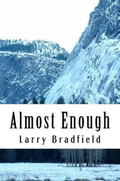 Cover for Larry G Bradfield · Almost Enough (Paperback Book) (2015)