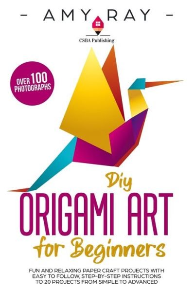Cover for Amy Ray · DIY Origami Art for Beginners (Paperback Bog) (2019)