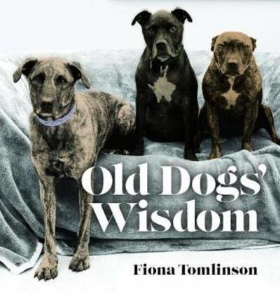 Cover for Fiona Tomlinson · Old Dog Wisdom (Hardcover Book) (2017)