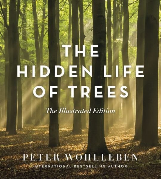 Cover for Peter Wohlleben · The Hidden Life of Trees: The Illustrated Edition (Gebundenes Buch) (2018)