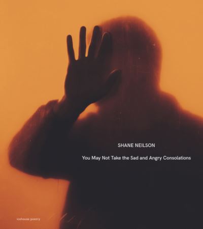 Cover for Shane Neilson · You May Not Take the Sad and Angry Consolations (Paperback Book) (2022)