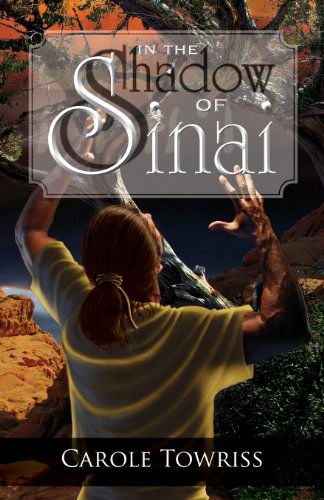 In the Shadow of Sinai - Carole Towriss - Books - Deward Publishing - 9781936341481 - July 24, 2012