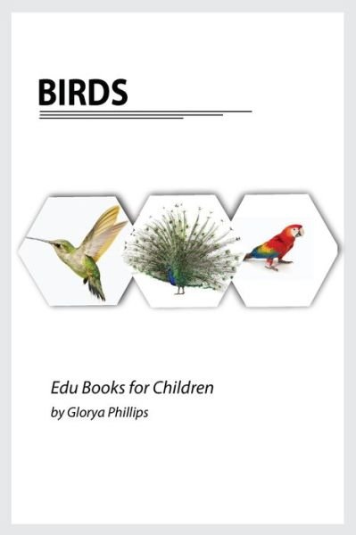 Cover for Glorya Phillips · Birds (Pocketbok) (2021)
