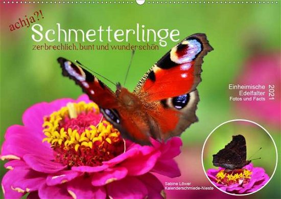 Cover for Löwer · Achja?! Schmetterlinge, Zerbrechl (Bog)
