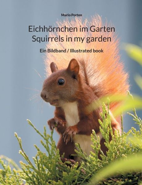 Cover for Mario Porten · Eichhoernchen im Garten / Squirrels in my garden (Paperback Book) (2021)