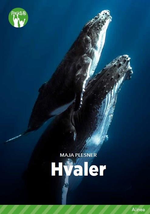 Cover for Maja Plesner · Fagklub: Hvaler, Grøn Fagklub (Indbundet Bog) [1. udgave] (2020)