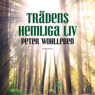 Cover for Peter Wohlleben · Trädens hemliga liv (Hörbok (MP3)) (2019)